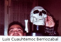 Luis Cuauhtemoc Berriozabal